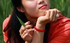 cfbug不掉血文件下载